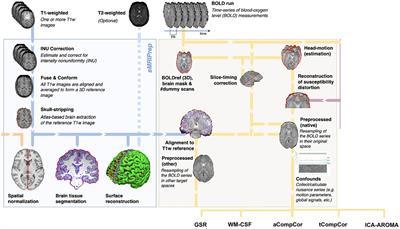 Comparing data-driven physiological denoising approaches for resting-state fMRI: implications for the study of aging